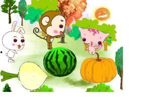 吃瓜娱乐小鲤鱼