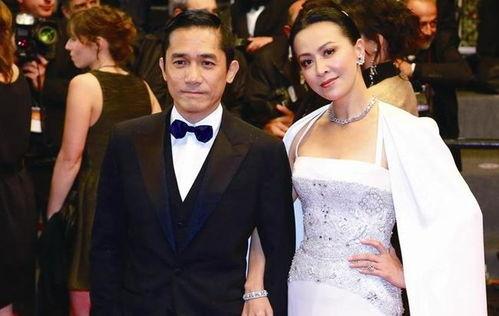 娱乐圈成龙吃瓜视频