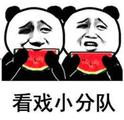 娱乐圈成龙吃瓜视频