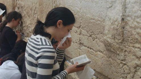 娱乐吃瓜君17集,揭秘娱乐圈背后的惊人真相